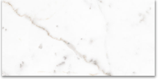 12X24 Polished Amore Grey | Tile Center