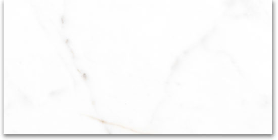 12X24 Polished Amore Grey | Tile Center