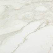 Amalfi Calacatta Honed 32X32 | Tile Center