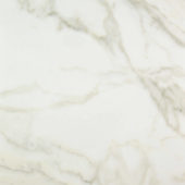 Amalfi Calacatta Polished 32X32 | Tile Center