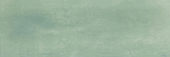 Aruba Moss Matt 2x6 | Tile Center