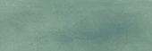 Aruba Moss Matt 2x6 | Tile Center
