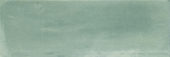 Aruba Moss Matt 2x6 | Tile Center