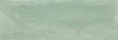 Aruba Moss Matt 2x6 | Tile Center