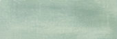 Aruba Moss Matt 2x6 | Tile Center