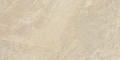 Impero Reale 12x24 Honed | Tile Center