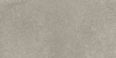 Madison 12X24F Forge Matte | Tile Center