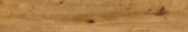 Oak Devonport | Tile Center