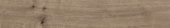 Oak Sevilla Taupe | Tile Center