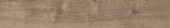 Oak Sevilla Taupe | Tile Center
