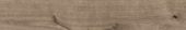 Oak Sevilla Taupe | Tile Center