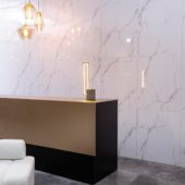 Olympus Gloss Wall Panel 24x48 | Tile Center