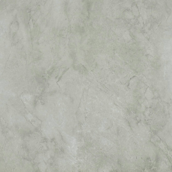 Roma Argento Polished 24X24 | Tile Center