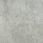 Roma Argento Polished 24X24 | Tile Center