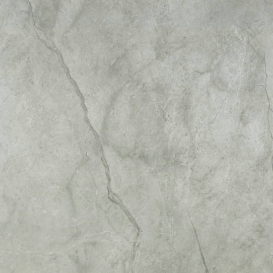 Roma Argento Polished 24X24 | Tile Center