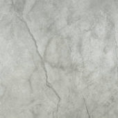 Roma Argento Polished 24X24 | Tile Center