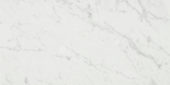 San Giulio Gioia Honed 12X24 | Tile Center