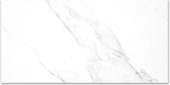 Treasure Statuario 24x48 Polished | Tile Center